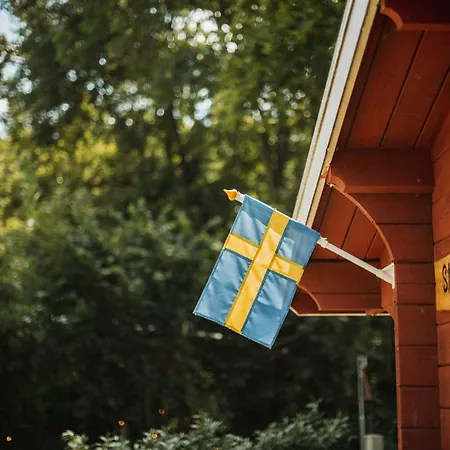 Scandinavisch Met Vuurplaats