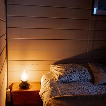 Scandinavisch Met Vuurplaats *