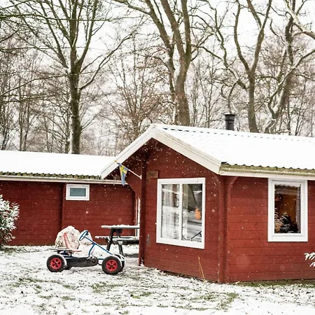Scandinavisch Met Vuurplaats