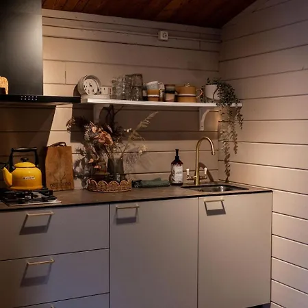 Scandinavisch Met Vuurplaats Holiday home *