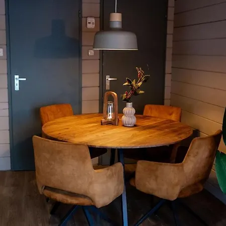 Scandinavisch Met Vuurplaats Holiday home Haarlo