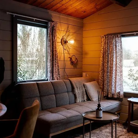 Scandinavisch Met Vuurplaats *