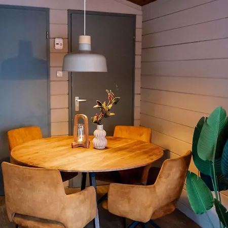 Scandinavisch Met Vuurplaats Haarlo
