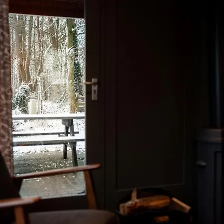 Scandinavisch Met Vuurplaats