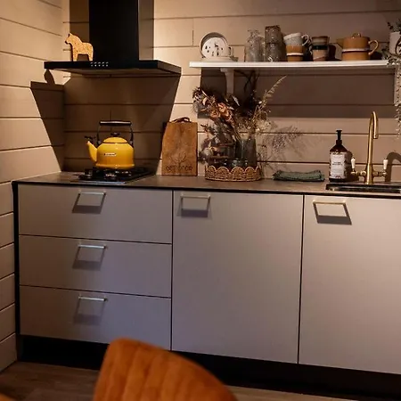 Holiday home Scandinavisch Met Vuurplaats