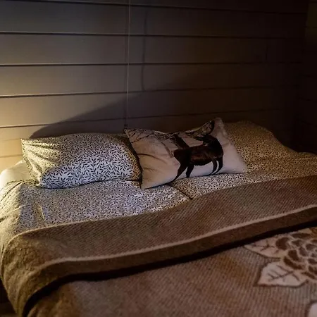 Scandinavisch Met Vuurplaats *