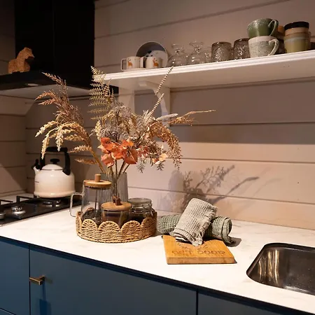 Scandinavisch Met Vuurplaats Haarlo