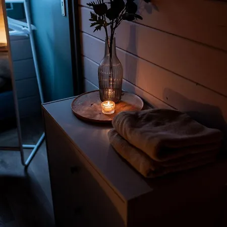 Scandinavisch Met Vuurplaats