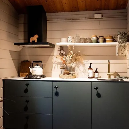 Scandinavisch Met Vuurplaats Holiday home